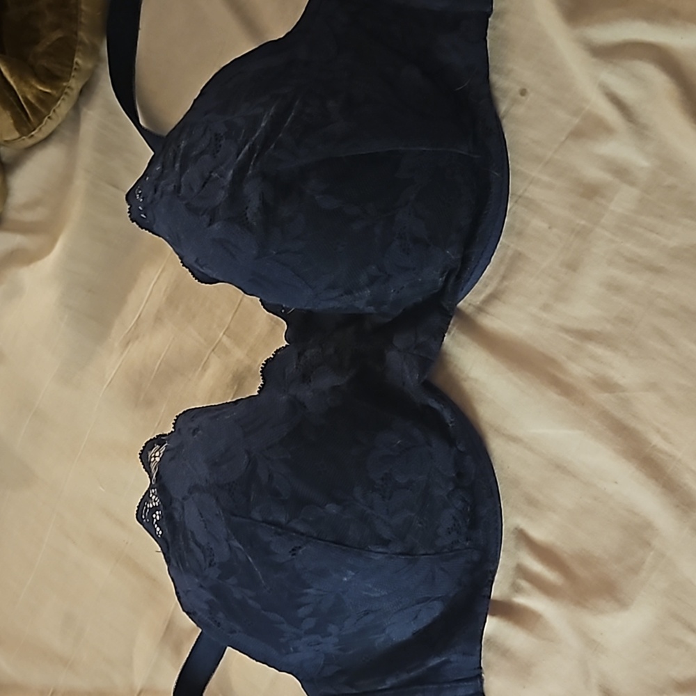 Torrid bra